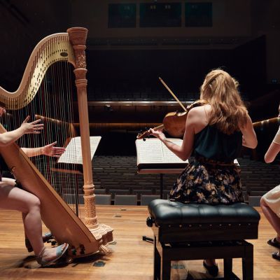 Chamber musicians